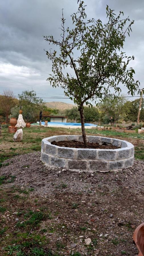 El Refugio De Las Arribes Villarino de los Aires Exteriér fotografie